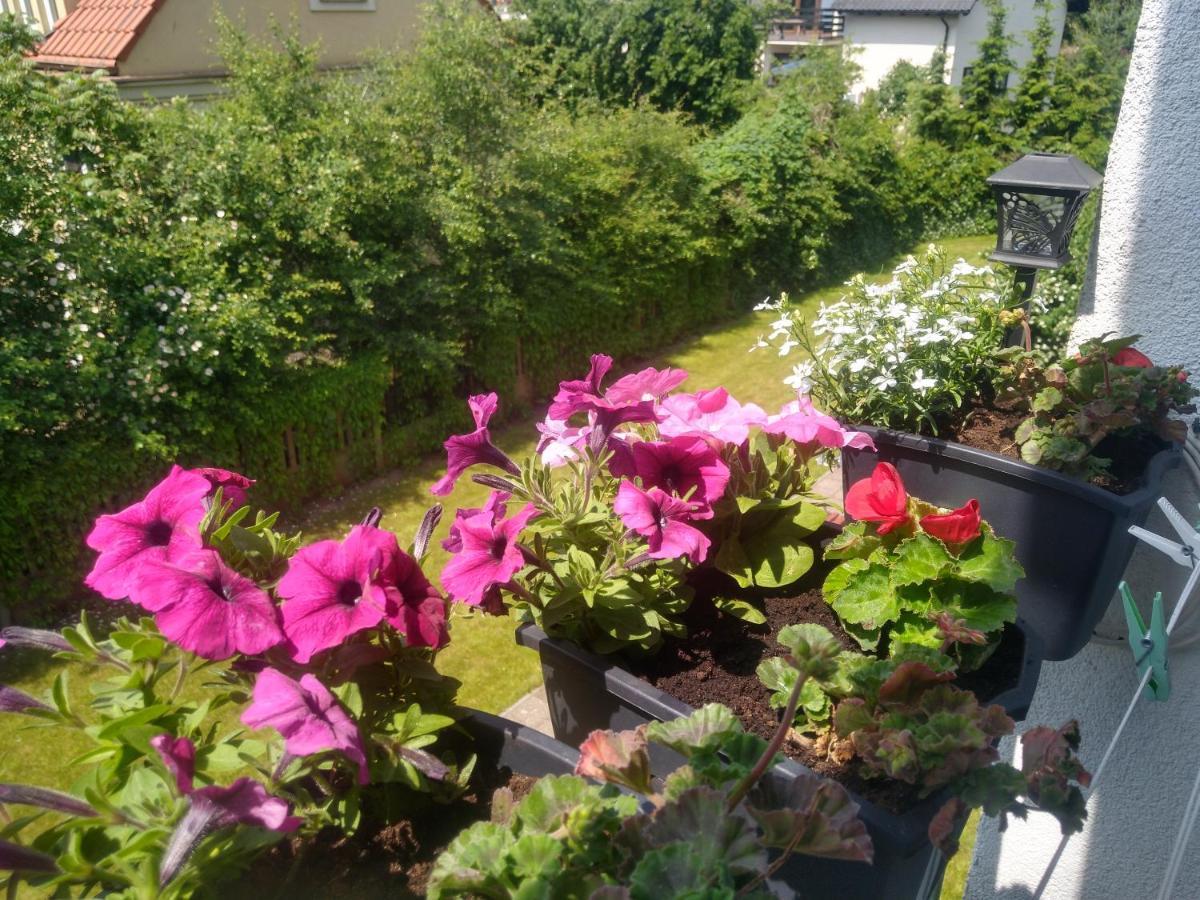 Apartament Olivia Centrum Z Zamknietym Parkingiem Gdańsk Extérieur photo